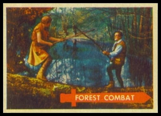 17 Forest Combat